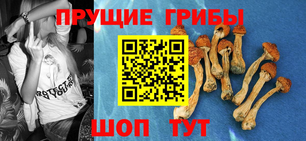 Псилоцибиновые грибы прущие грибы  Вход с VPN  Советская Гавань 