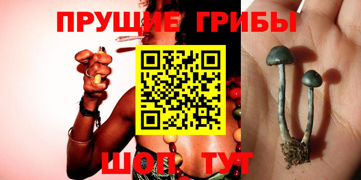 Галлюциногенные грибы ЛСД Советская Гавань